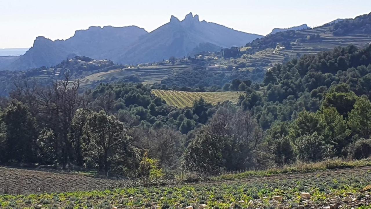 Onze Villa In Provence, Mont Ventoux, New Luxury Villa, Private Pool, Stunning Views, Outdoor Kitchen, Big Green Egg Malaucène المظهر الخارجي الصورة
