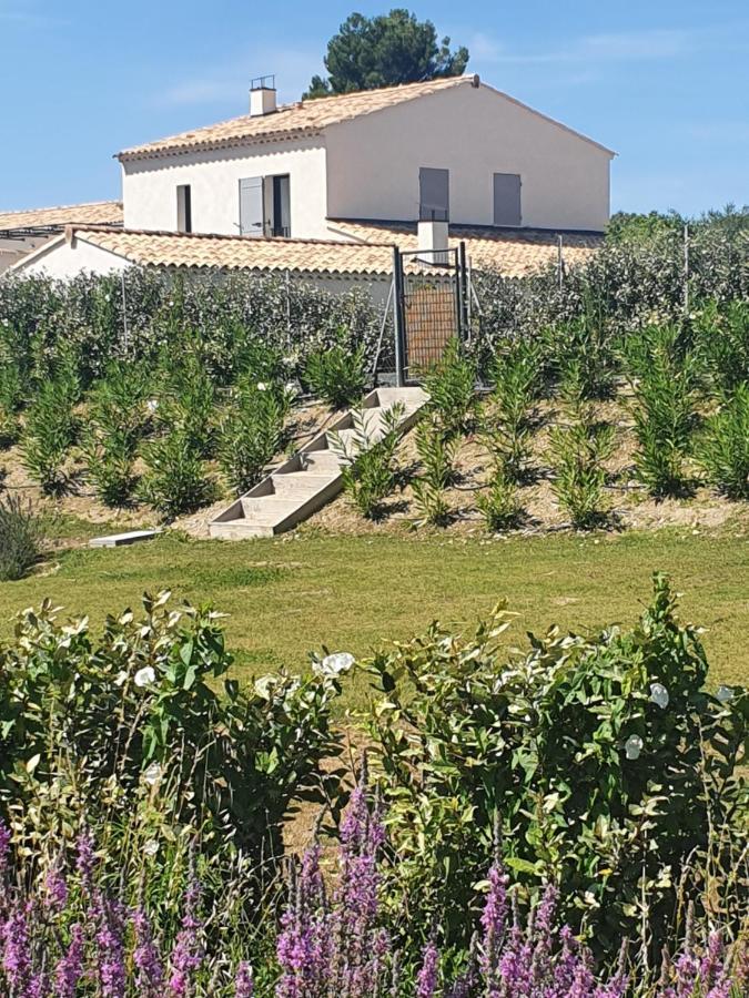 Onze Villa In Provence, Mont Ventoux, New Luxury Villa, Private Pool, Stunning Views, Outdoor Kitchen, Big Green Egg Malaucène المظهر الخارجي الصورة