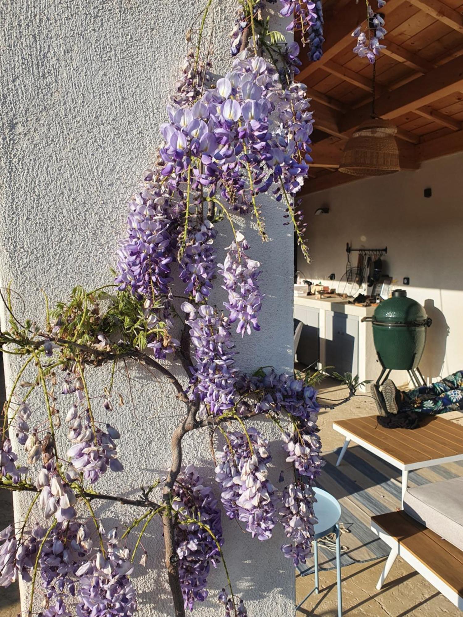 Onze Villa In Provence, Mont Ventoux, New Luxury Villa, Private Pool, Stunning Views, Outdoor Kitchen, Big Green Egg Malaucène المظهر الخارجي الصورة